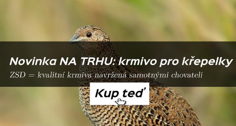 NOVINKA! Kvalitní KRMIVA PRO KŘEPELKY