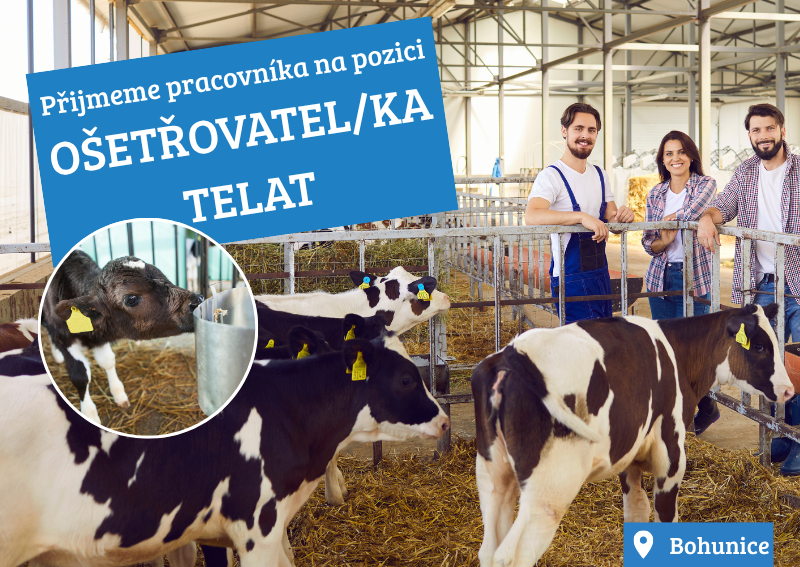 Ošetřovatel/ka telat