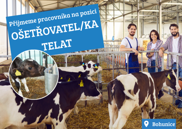 Ošetřovatel/ka telat