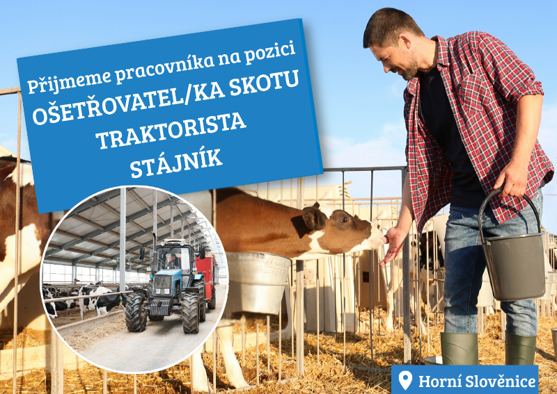 Ošetřovatel/ka skotu - traktorista/stájník Ošetřovatel/ka skotu - traktorista/stájník