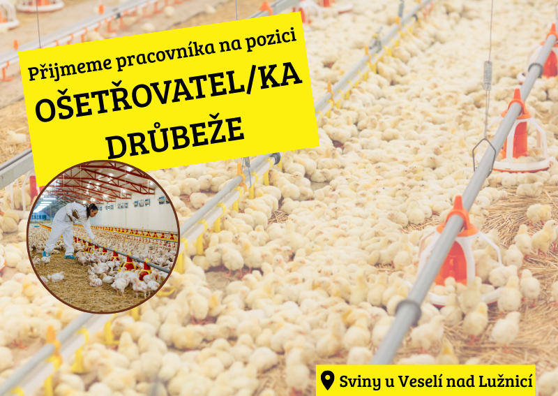Ošetřovatel/ka drůbeže