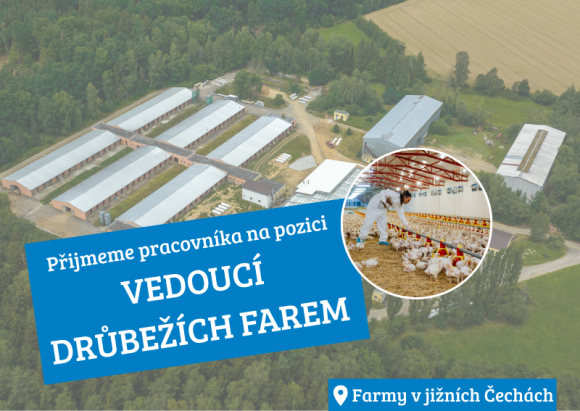 Vedoucí drůběžích farem