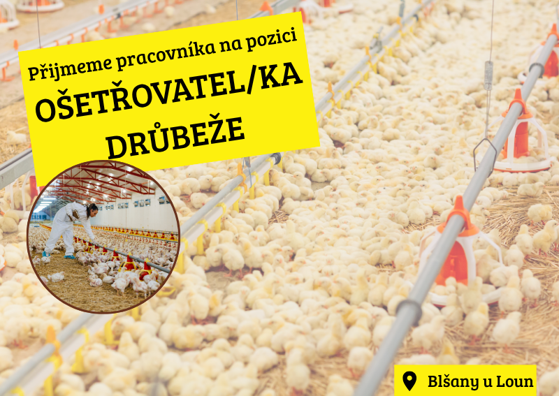Ošetřovatel/ka drůbeže - farma Blšany