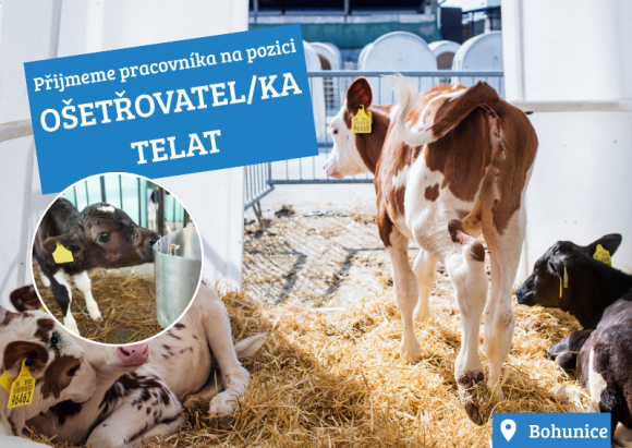Ošetřovatel/ka telat v Bohunicích