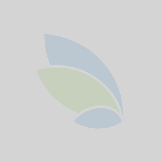 Projekt fúze sloučením